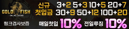 골드피쉬 카지노